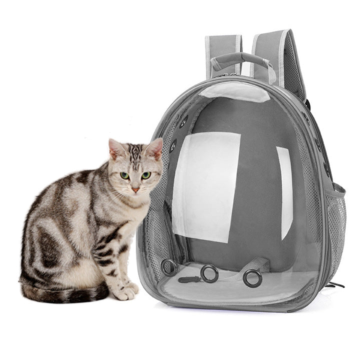 Backpack for cats